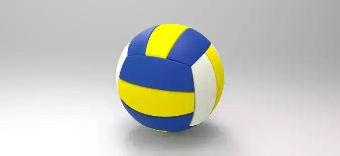 Volleyball Ball