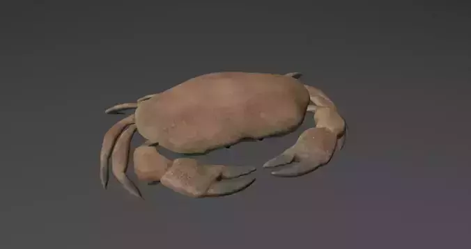 Crab Low Poly Realistic