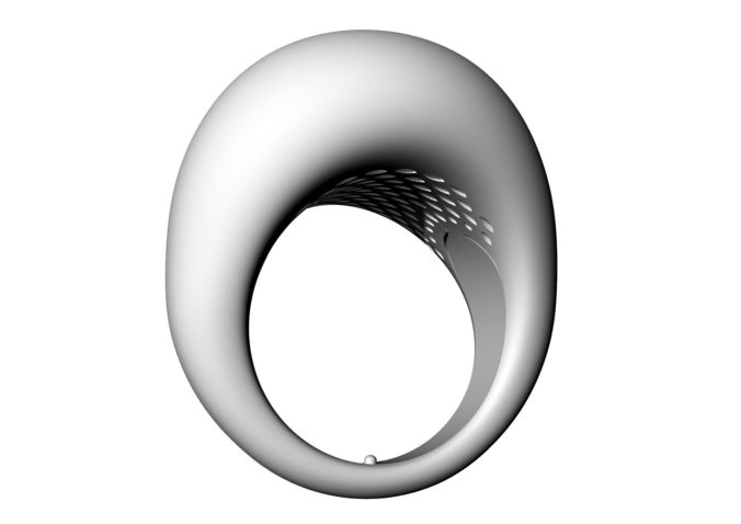 An 38 oblong shaped ring 3D print model