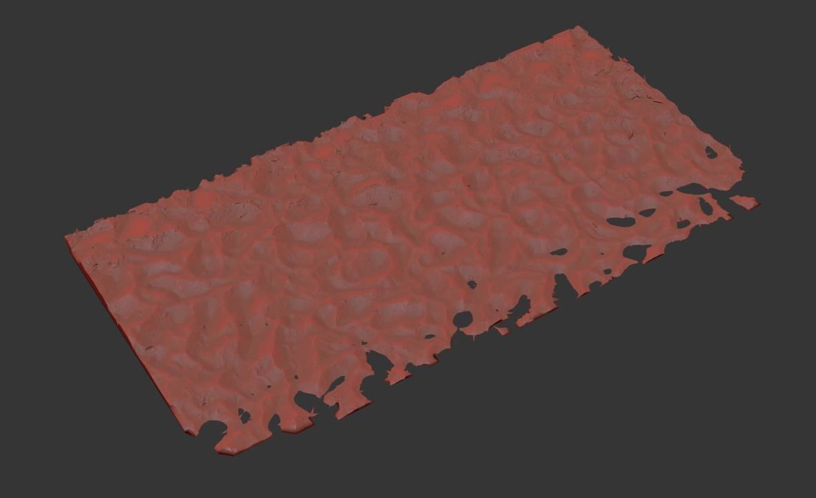 Beach Sand  Scan 3D model_8