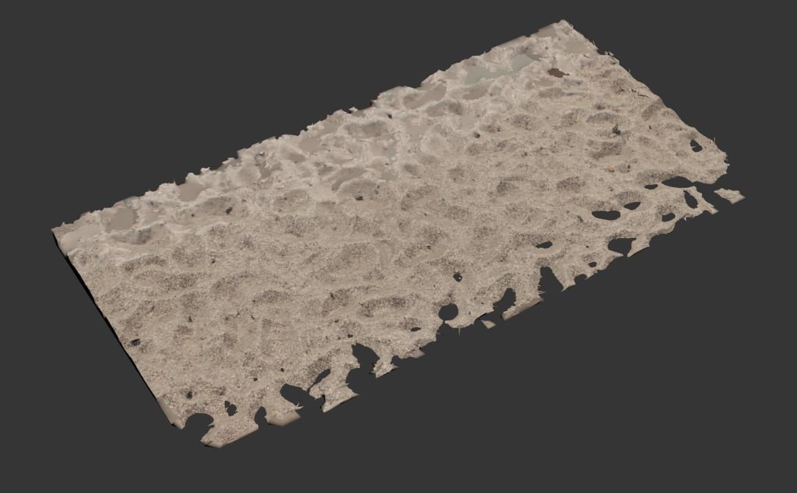 Beach Sand  Scan 3D model_6