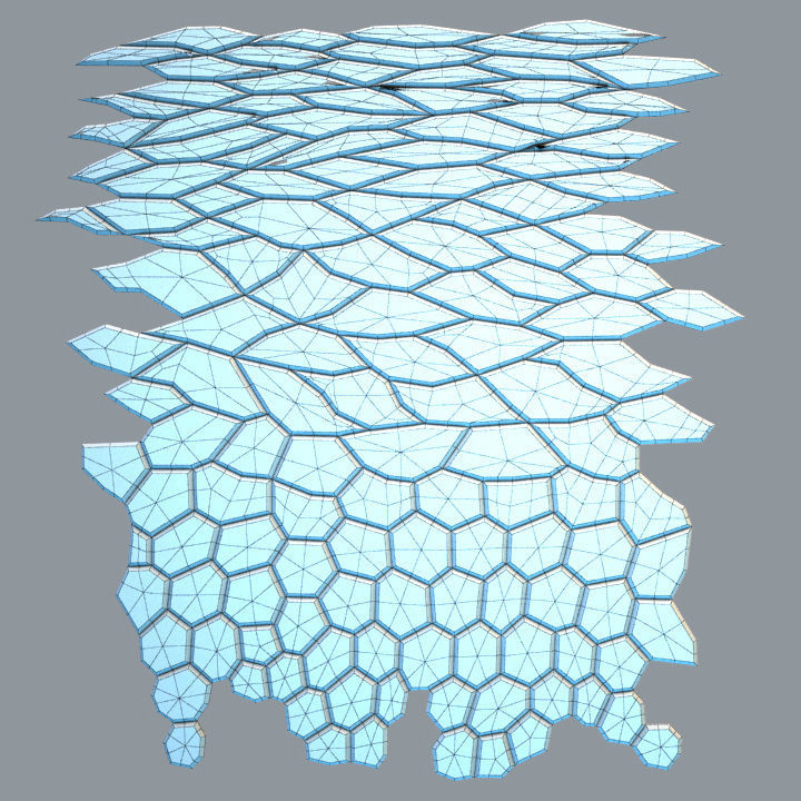 Cell layers 3D model 3D print model_5