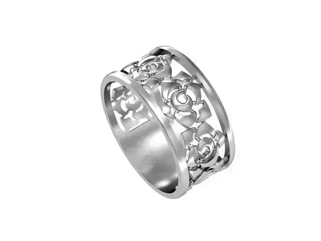 Ring cut out set 3D print model