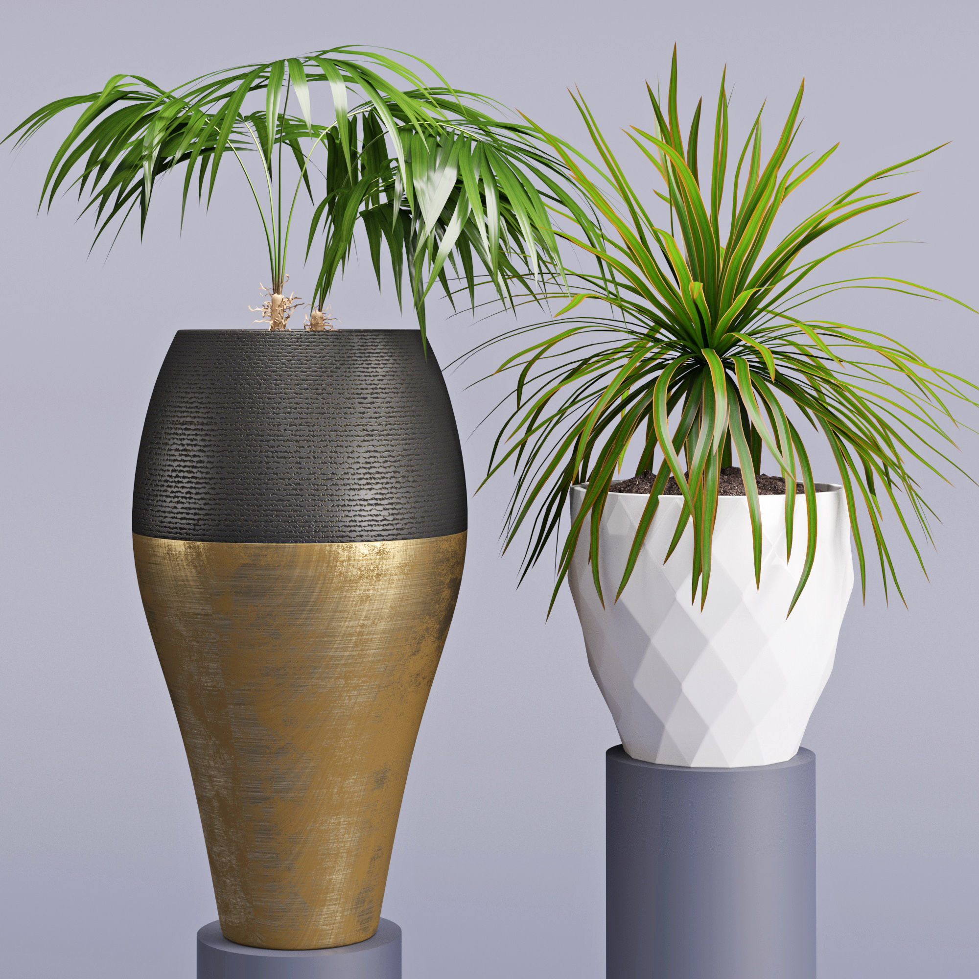 Houseplant 28 3D model_5