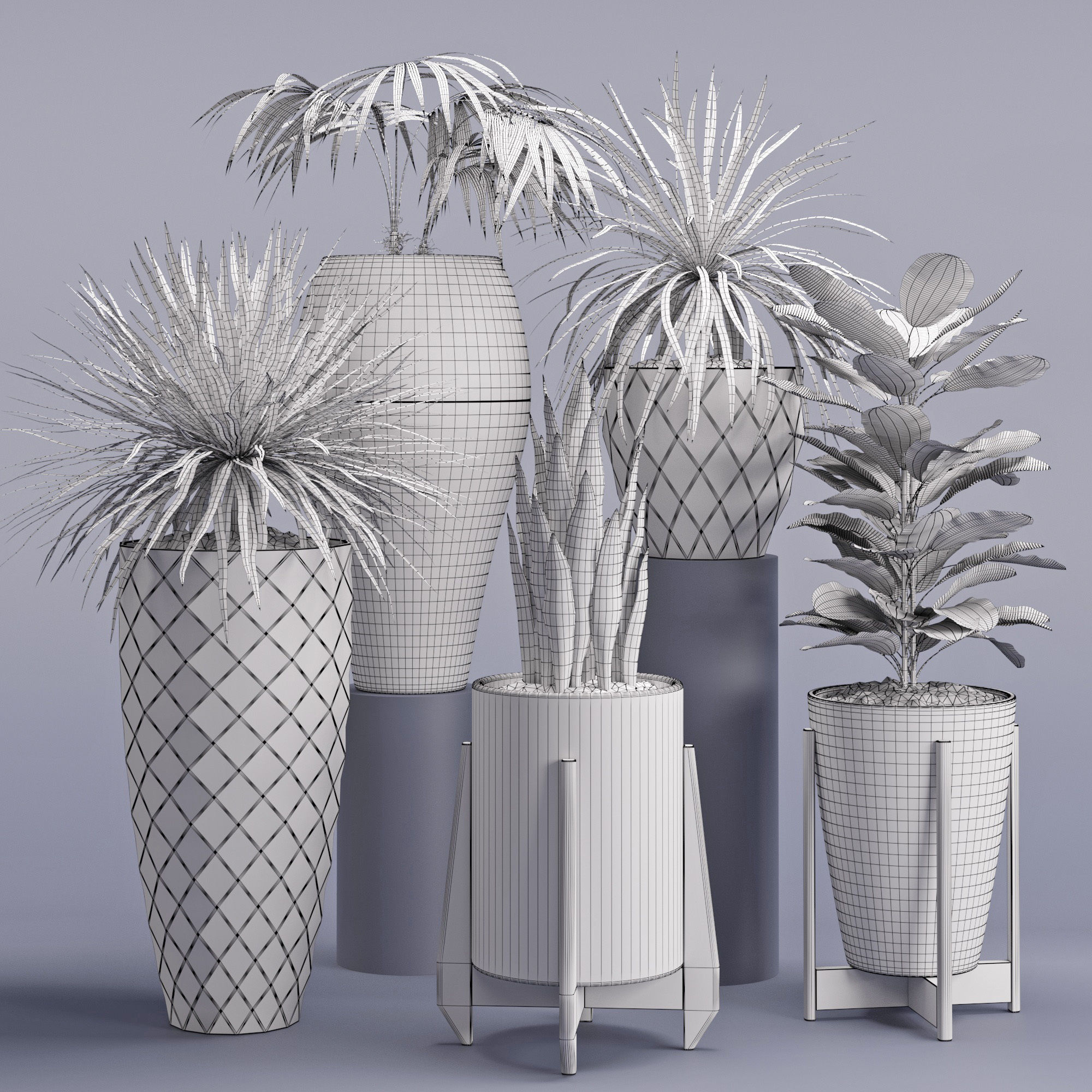 Houseplant 28 3D model_3