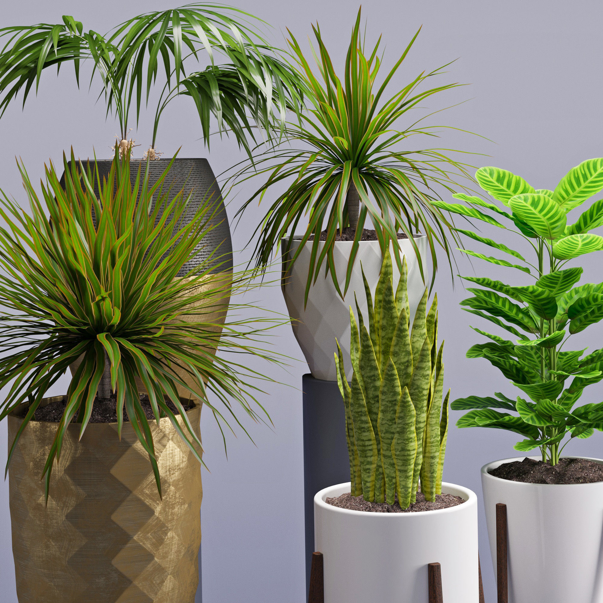 Houseplant 28 3D model_2