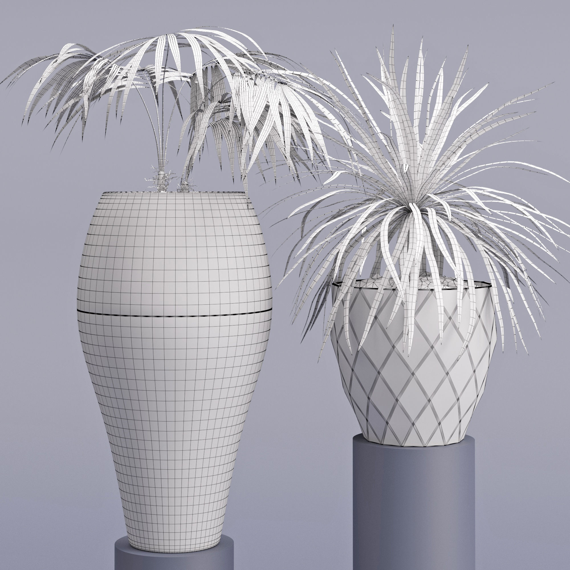 Houseplant 28 3D model_4