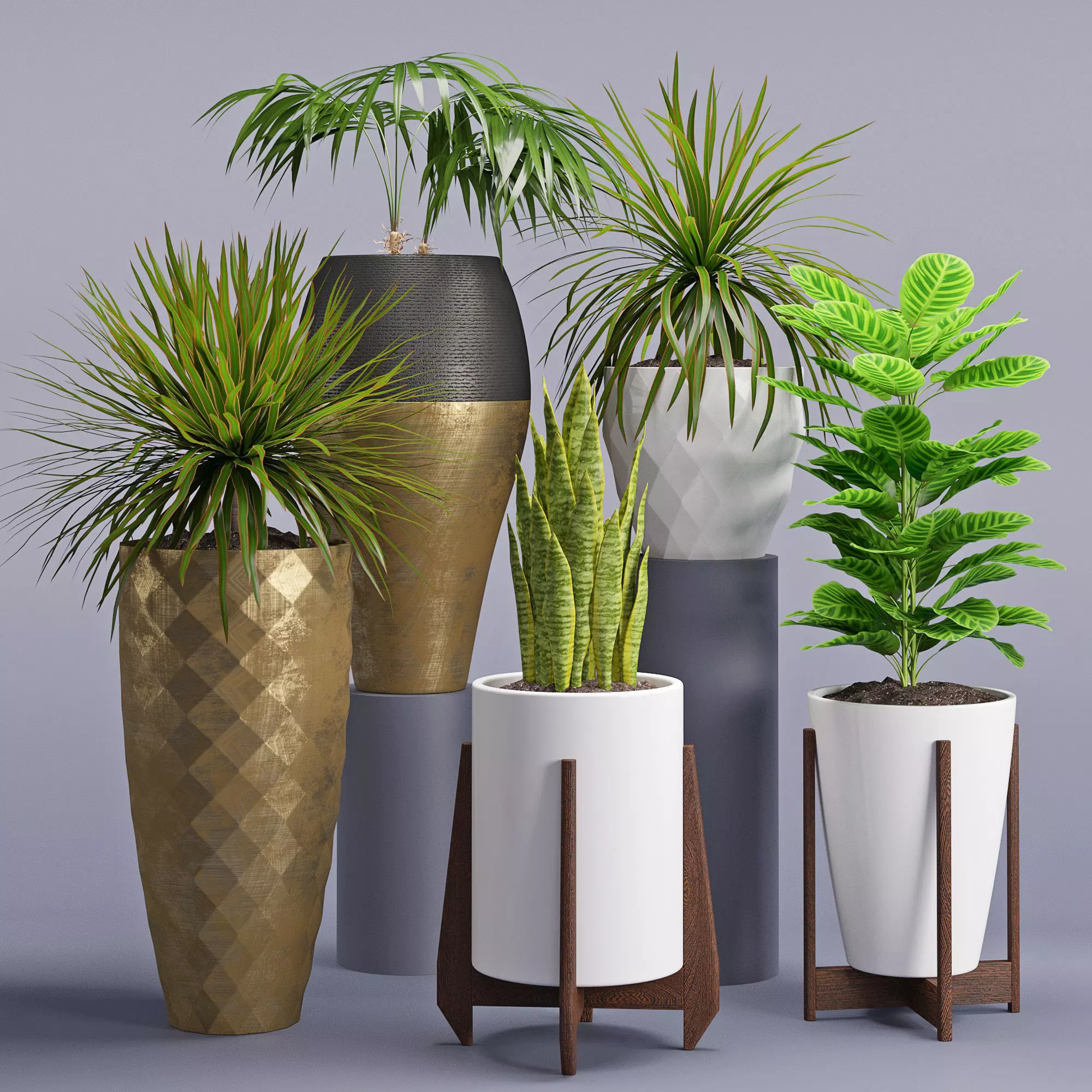 Houseplant 28 3D model_0