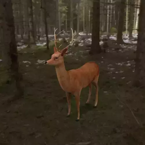 low poly deer rigged 
