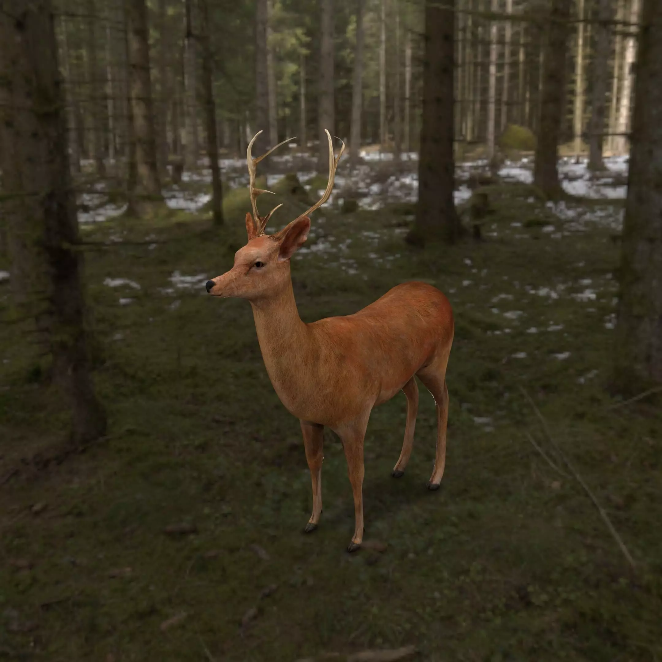 low poly deer rigged Low-poly 3D model_0