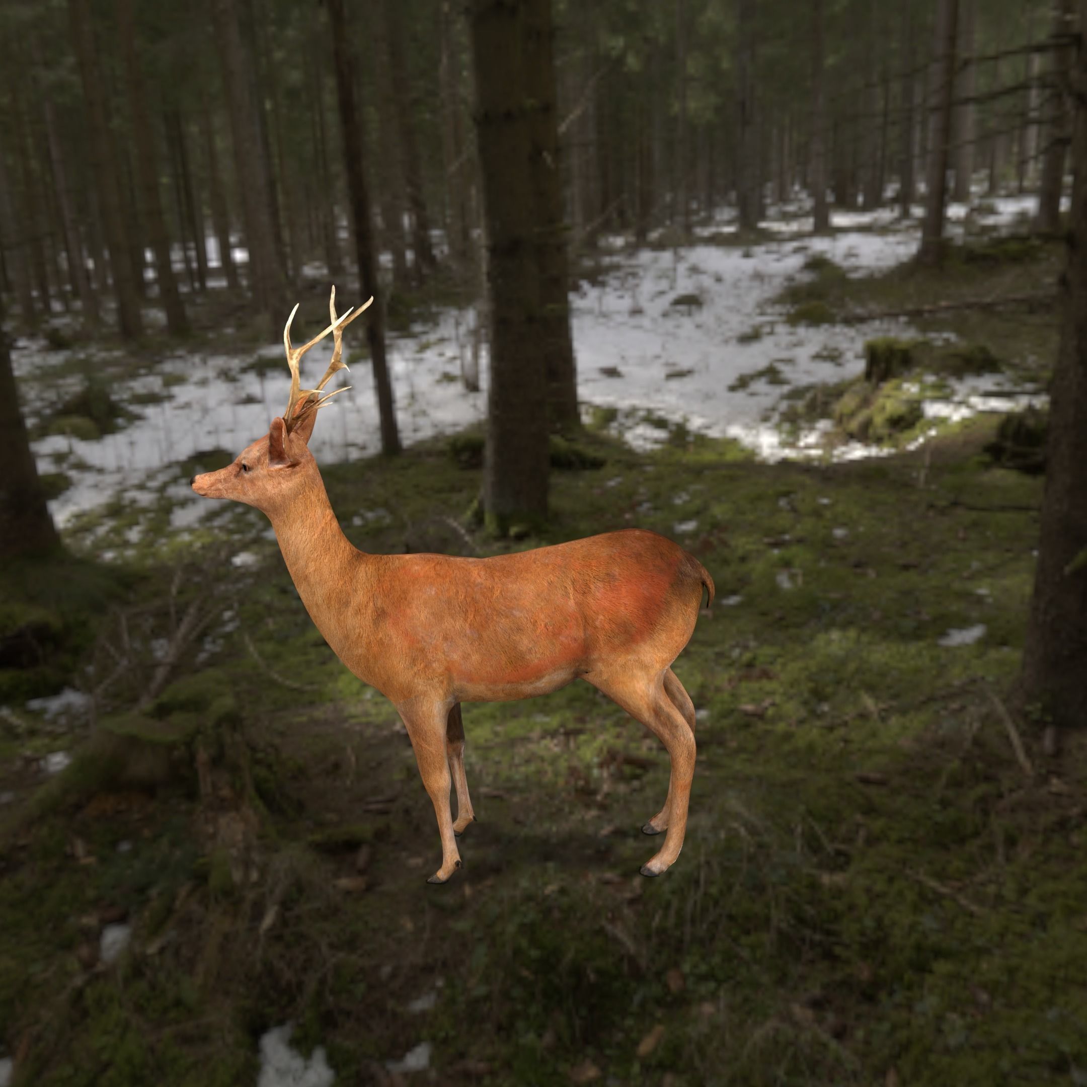 low poly deer rigged Low-poly 3D model_5