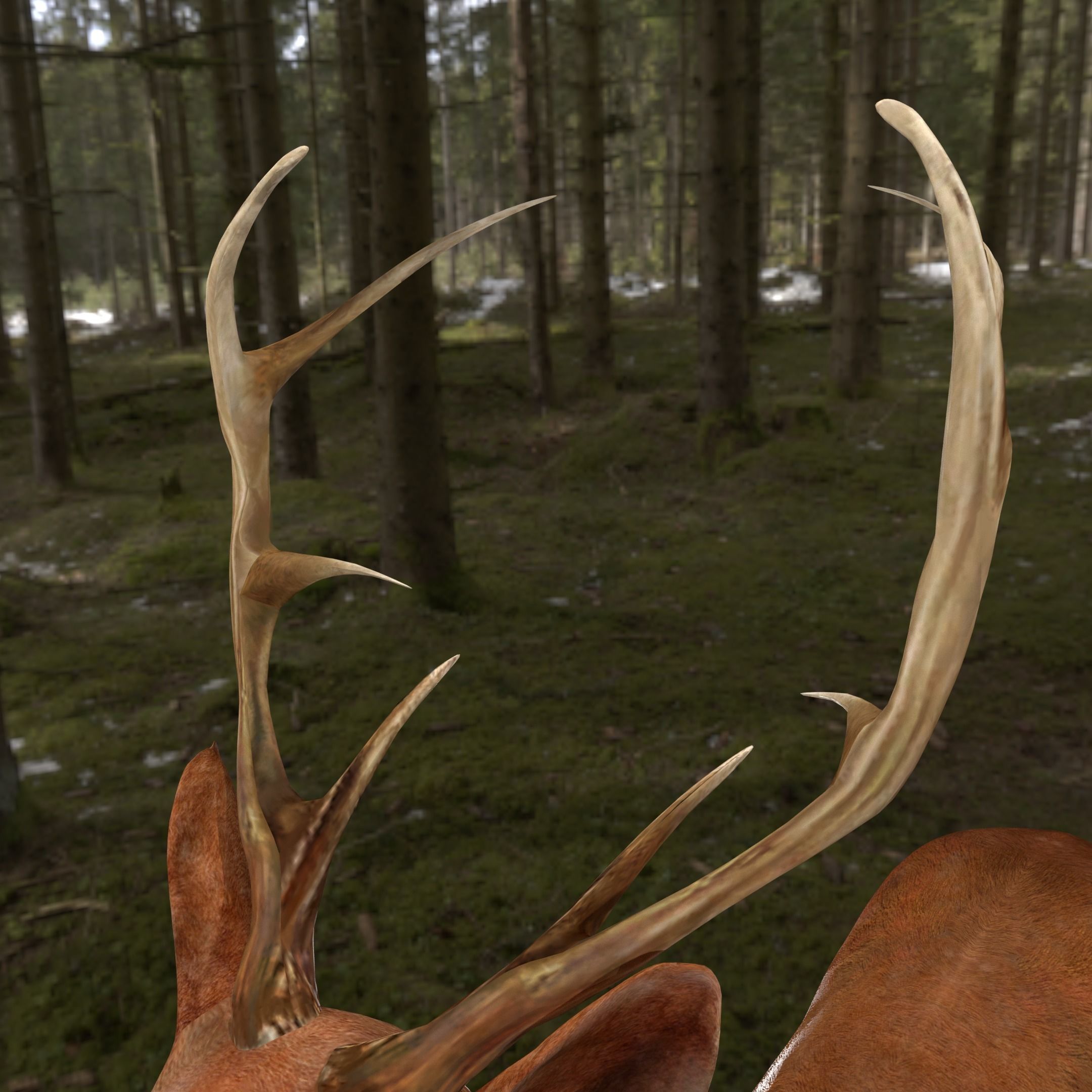 low poly deer rigged Low-poly 3D model_1