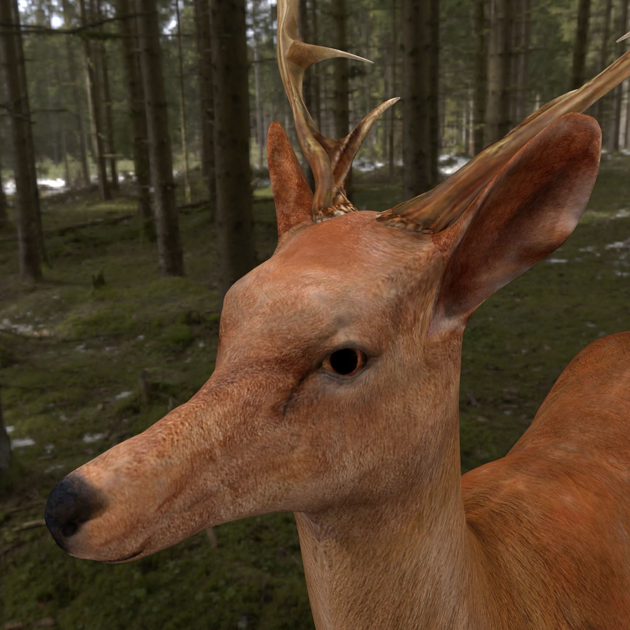 low poly deer rigged Low-poly 3D model_2