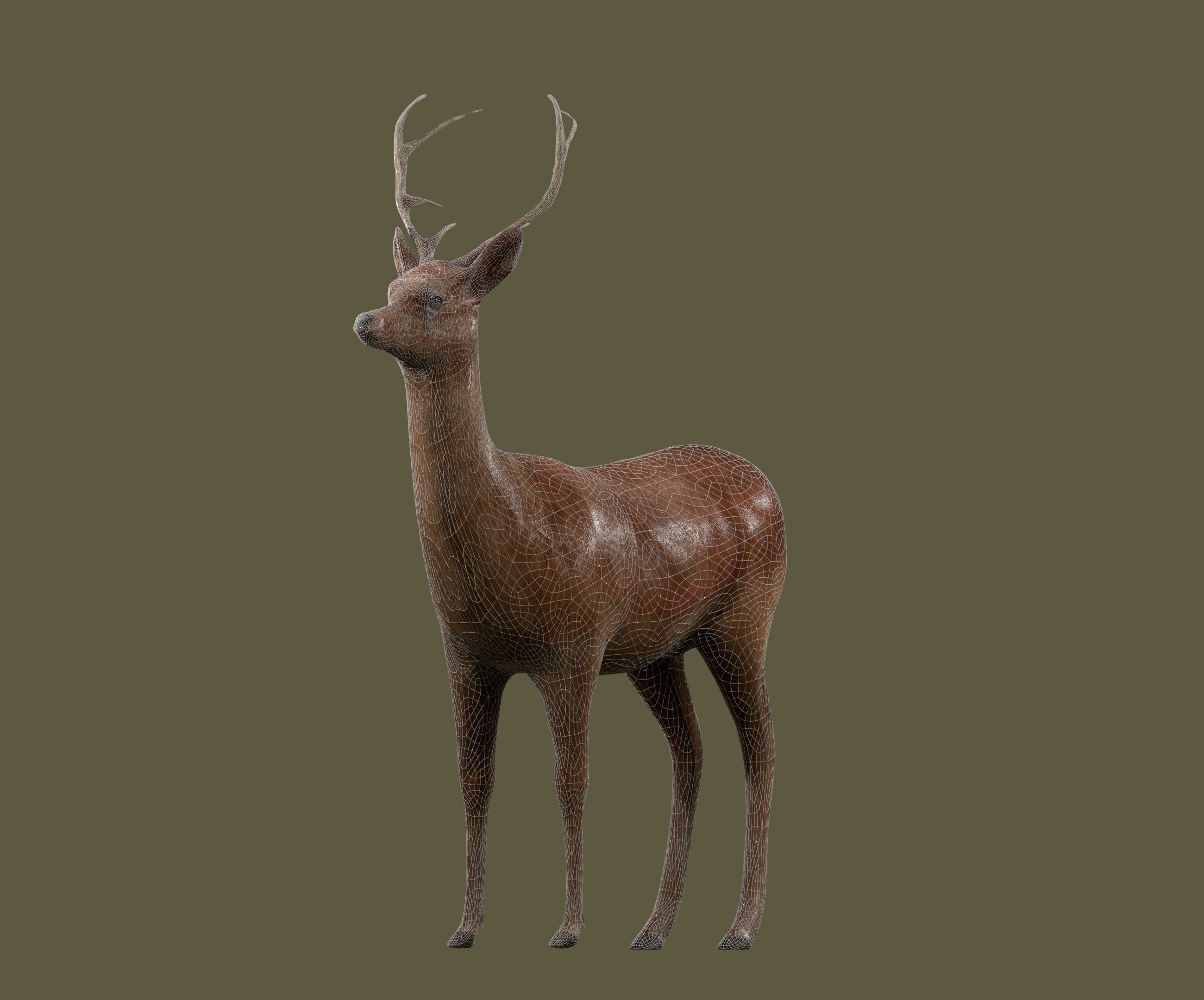 low poly deer rigged Low-poly 3D model_8