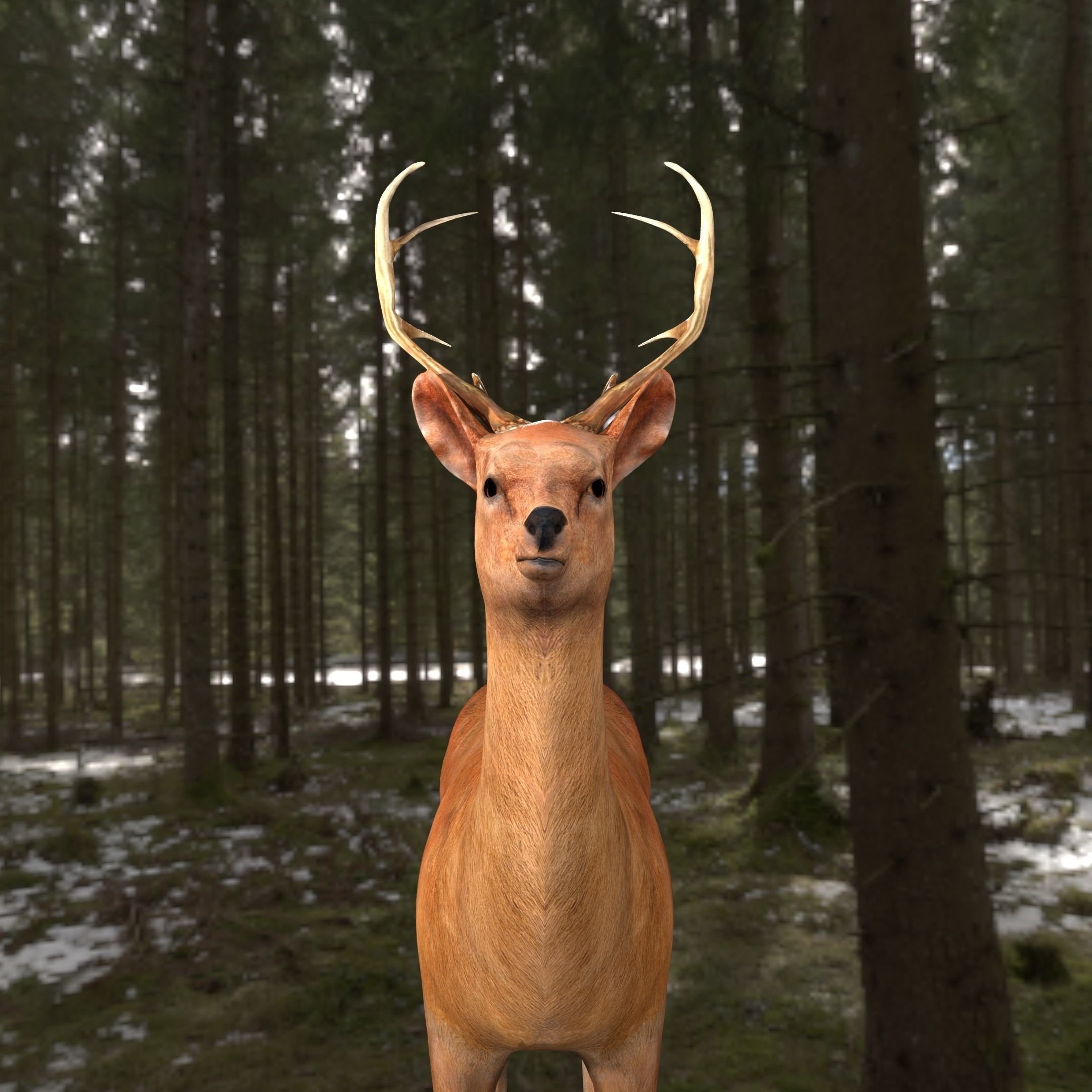 low poly deer rigged Low-poly 3D model_3