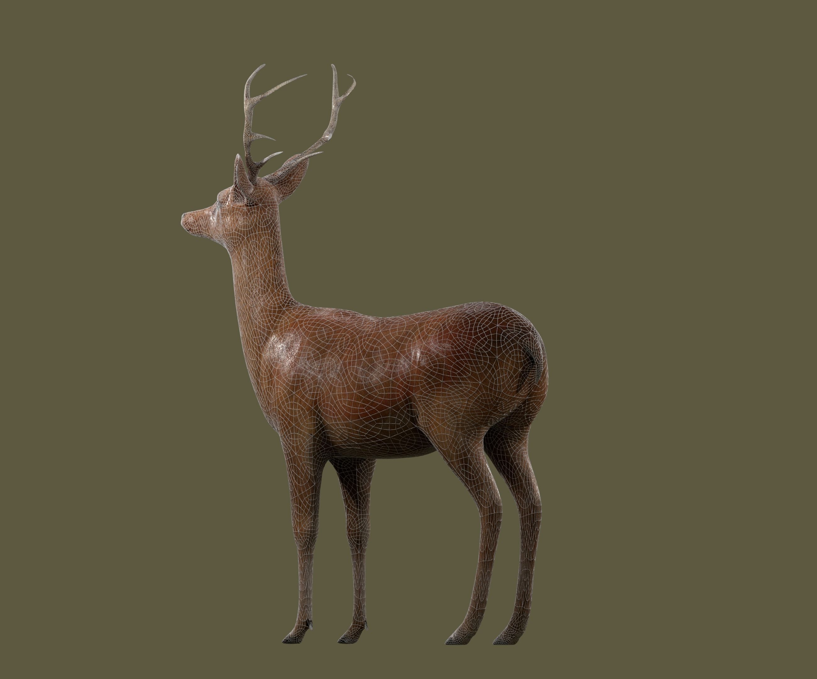 low poly deer rigged Low-poly 3D model_11