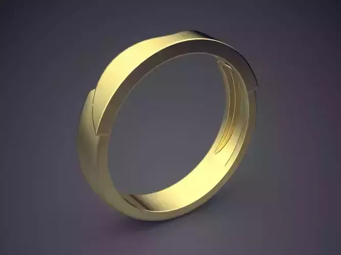 Curved Ring 3D print model