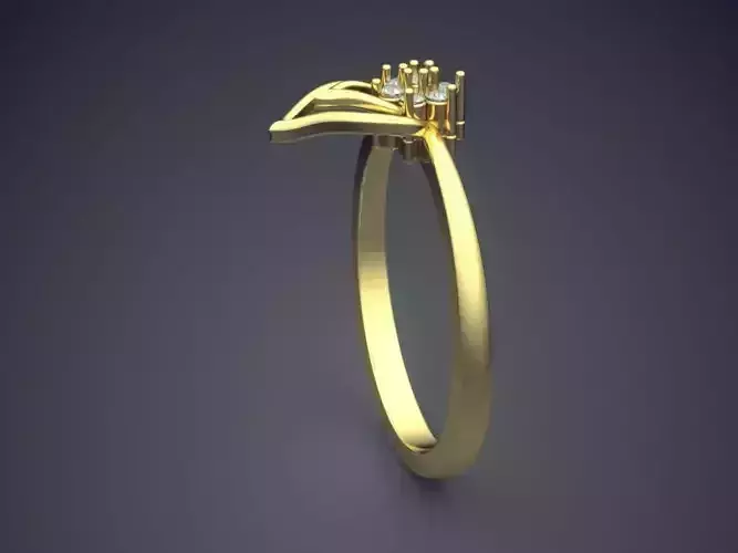 Ring PR-1735
