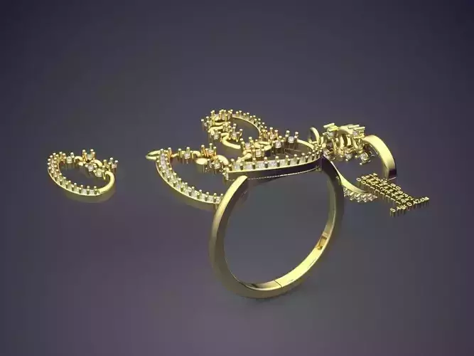 Ring And Earrings Combo PR 1866 3D print model
