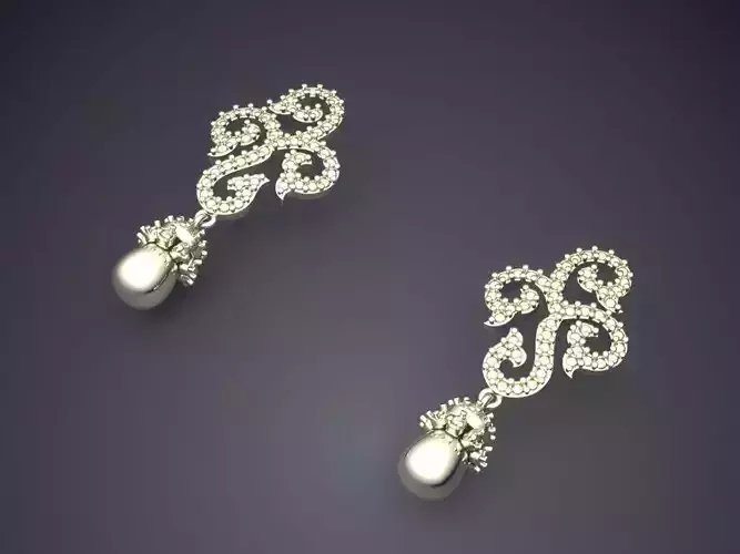 Hanging Earrings With Ornaments PE24