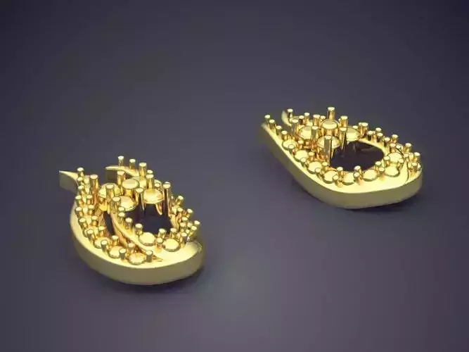 Horseshoe Shaped Earrings P16 1 2