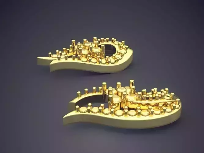 Horseshoe Shaped Earrings P16 1 2