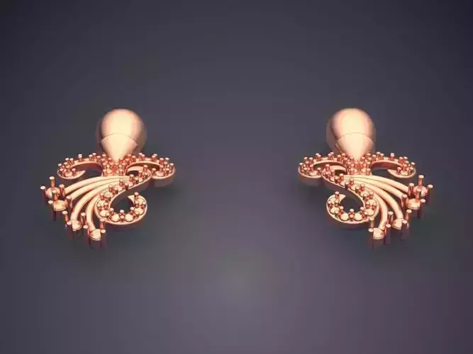 Earrings With Very Detailed Ornaments P14 2