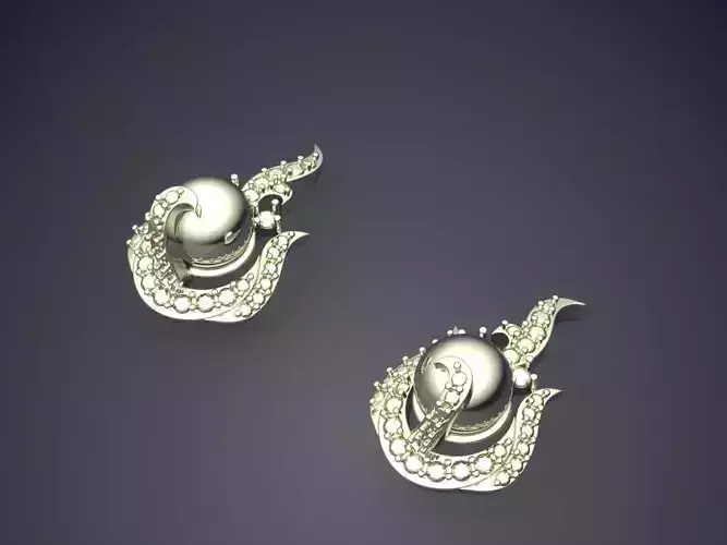 Earrings P04-2