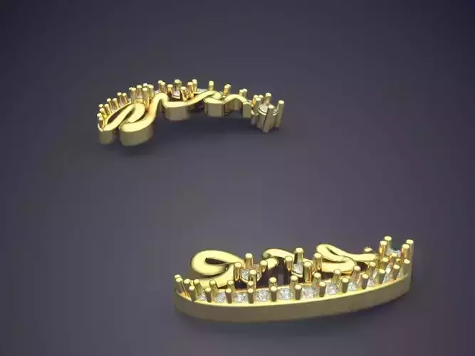 Arc Shaped Earrings with Ornaments P 1863 2