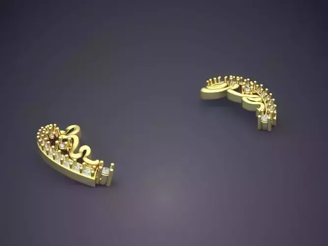 Arc Shaped Earrings with Ornaments P 1863 2