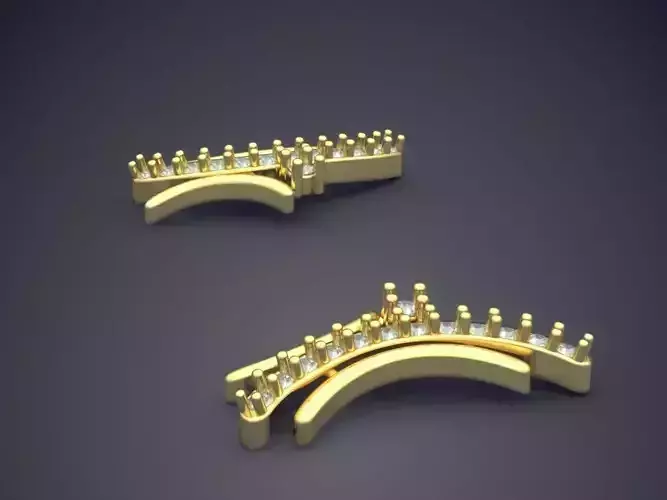 Arc Shaped Earrings P 1861 2