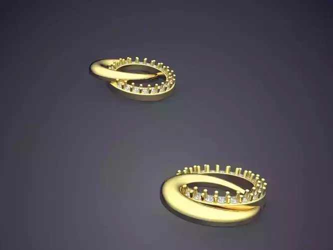 Intertwine Earrings With Two Rings P 1832 2