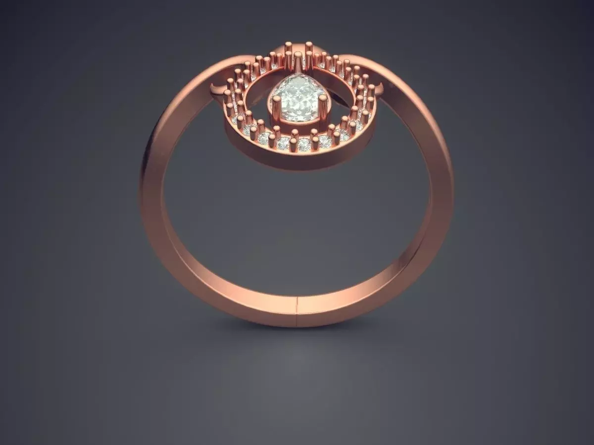 Ring P-1811R 3D print model_2