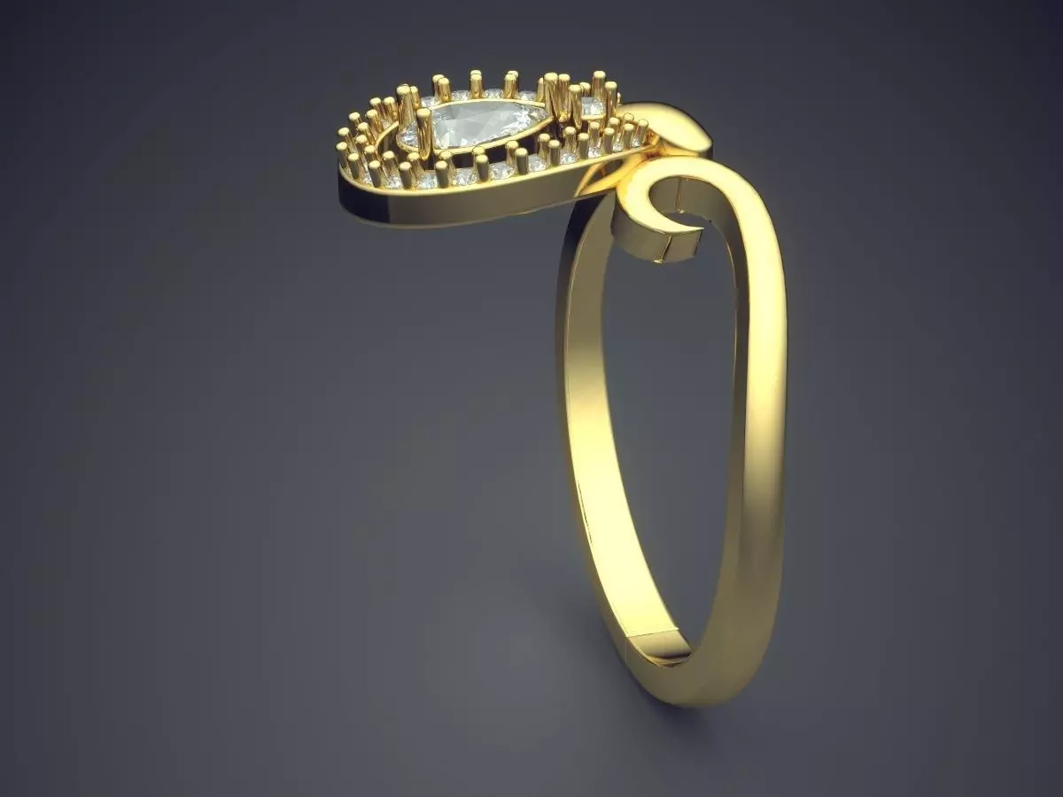 Ring P-1811R 3D print model_3