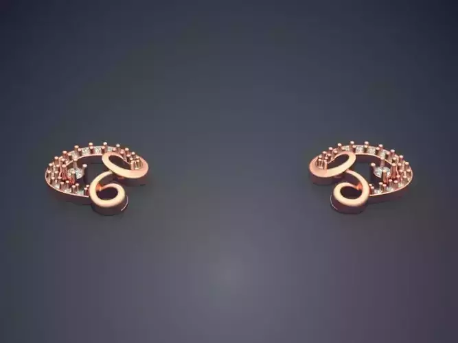 Circle Shaped Hollow Earrings P 1804 2