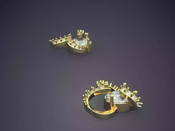 Earrings With Interesting Design P 1799 2