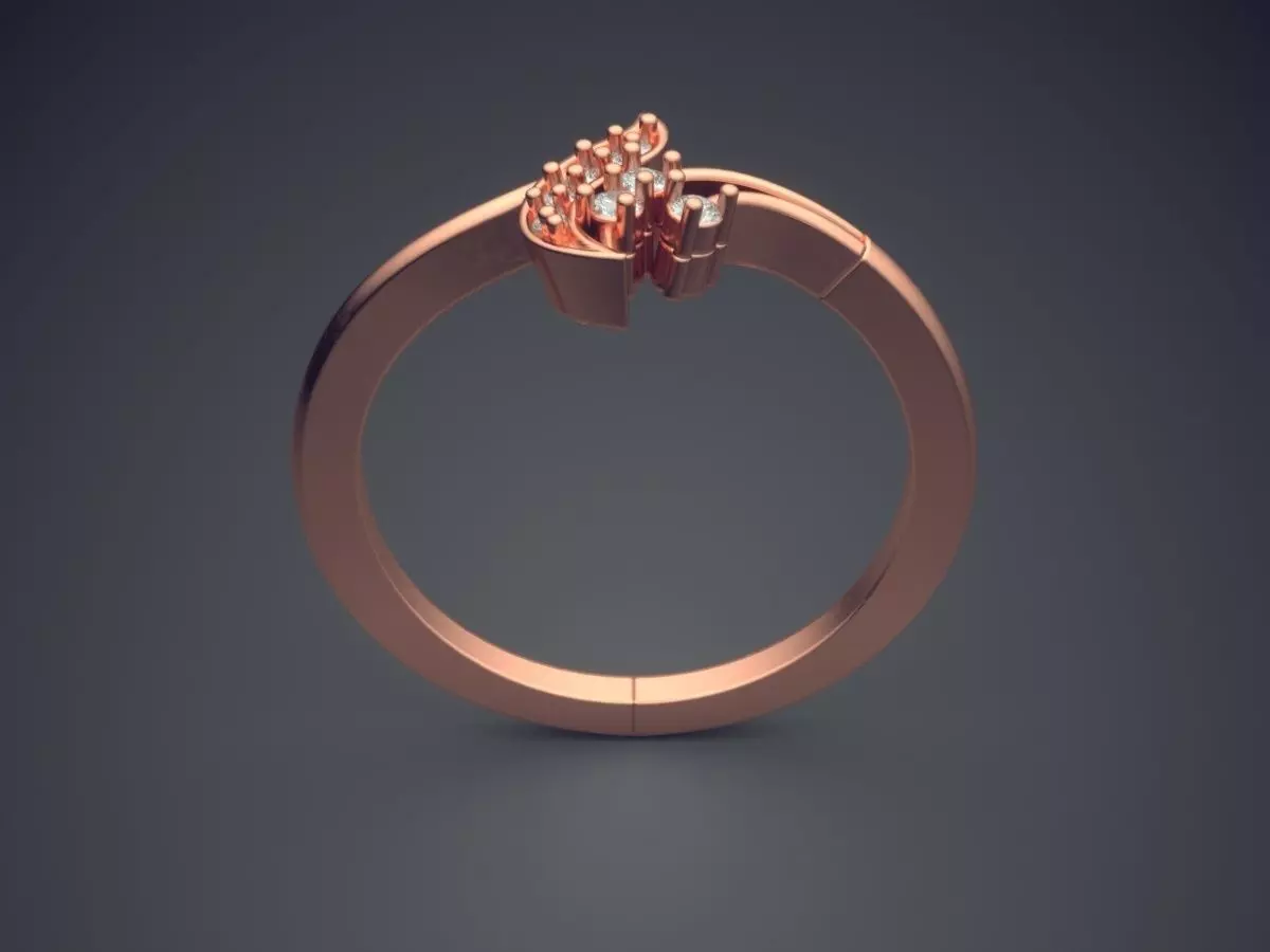 Ring LR-23 3D print model_2