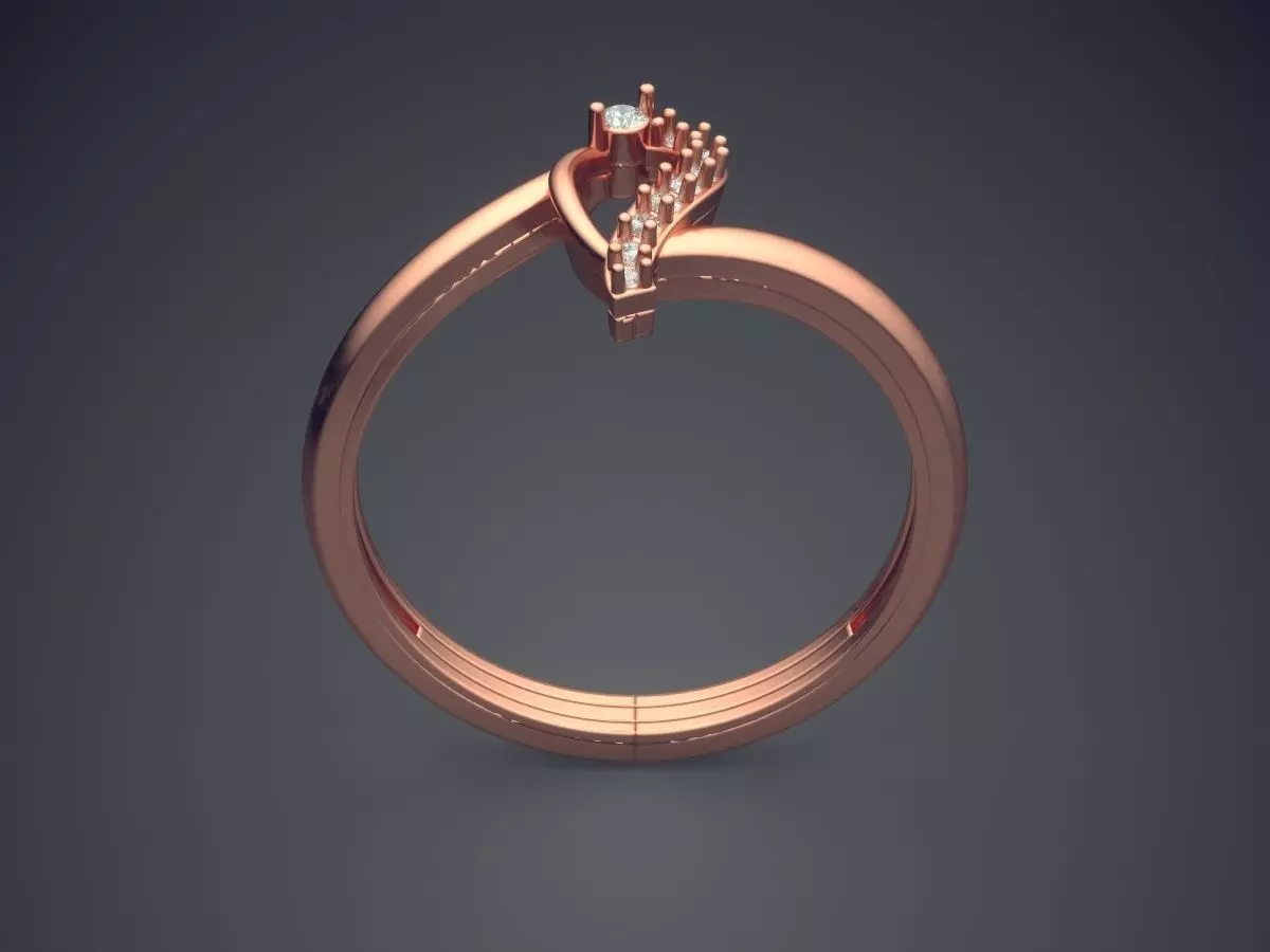 Ring JRR3021 3D print model_2