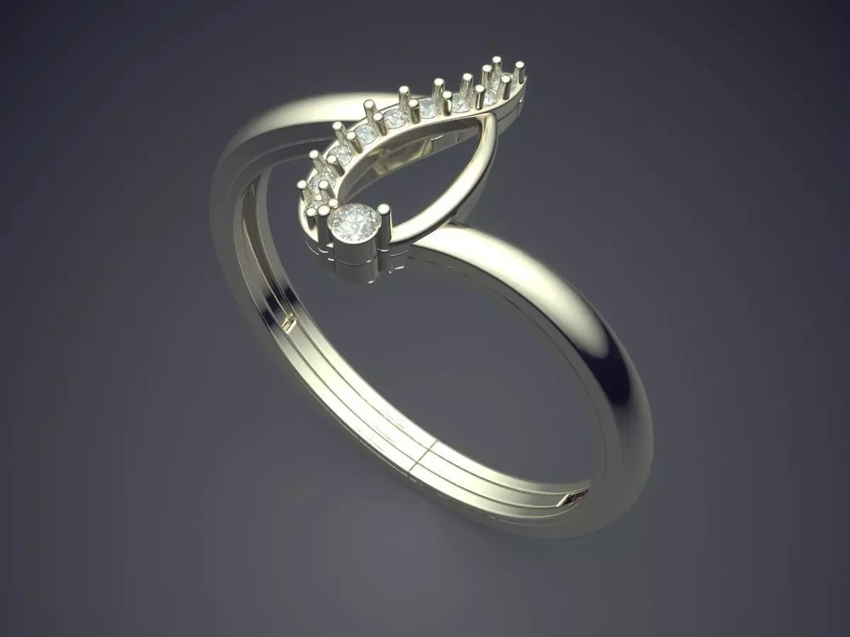 Ring JRR3021 3D print model_1