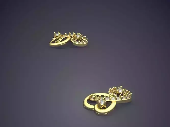 Earrings JRE3009