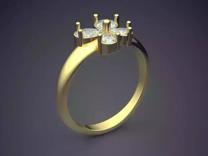 Ring FR11 3D print model