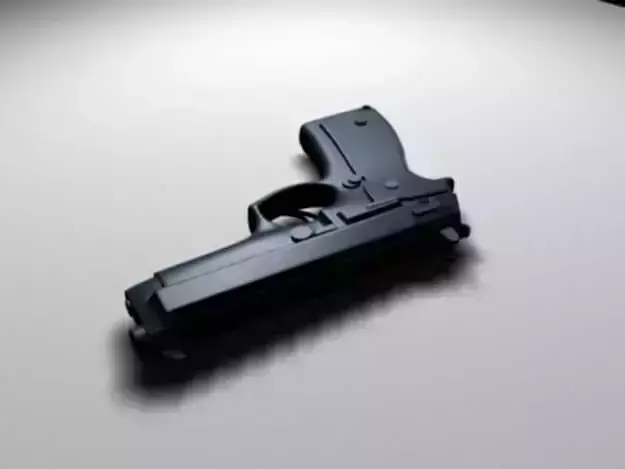 gun