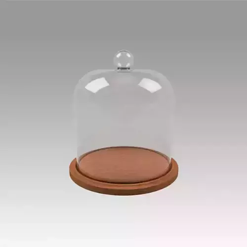 Dome glass 3D model