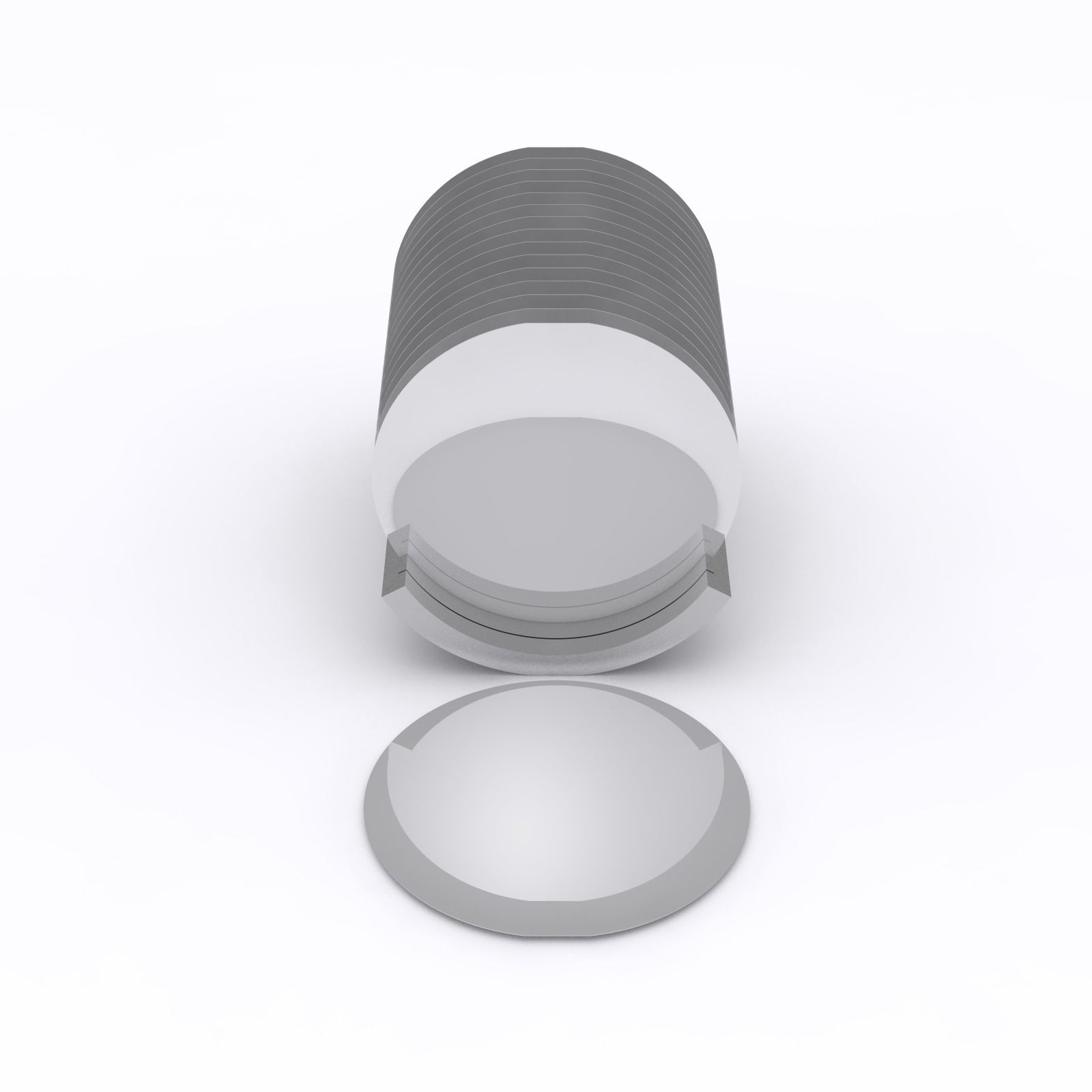 Silicon Wafers and Tray Low-poly 3D model_7