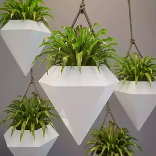 Vase diamond with a small plant