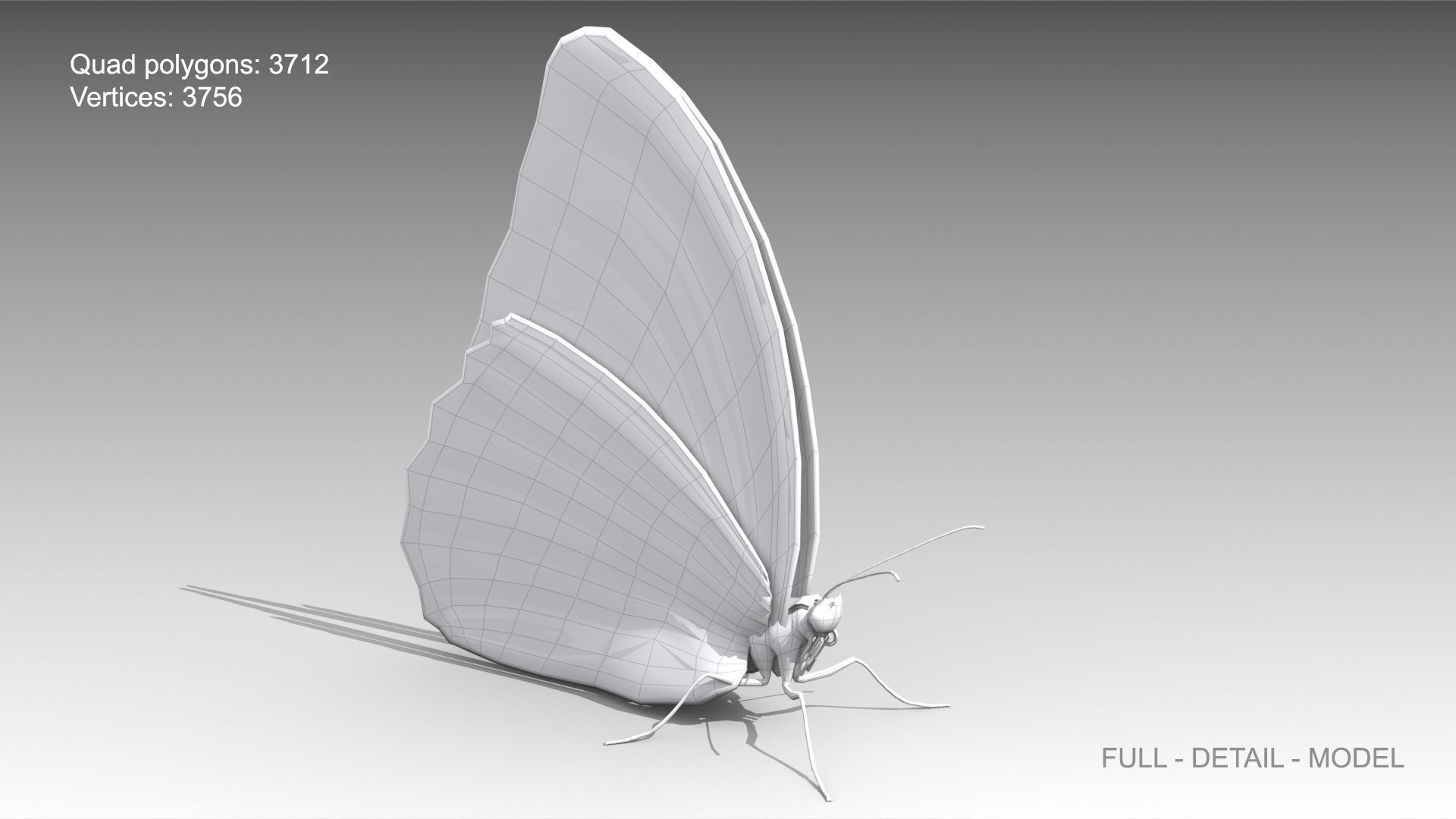 Blue Morpho Butterfly Low-poly 3D model_7