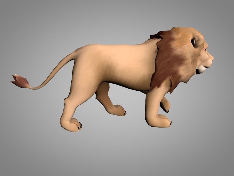 Lion or lioness Low-poly 3D model_1