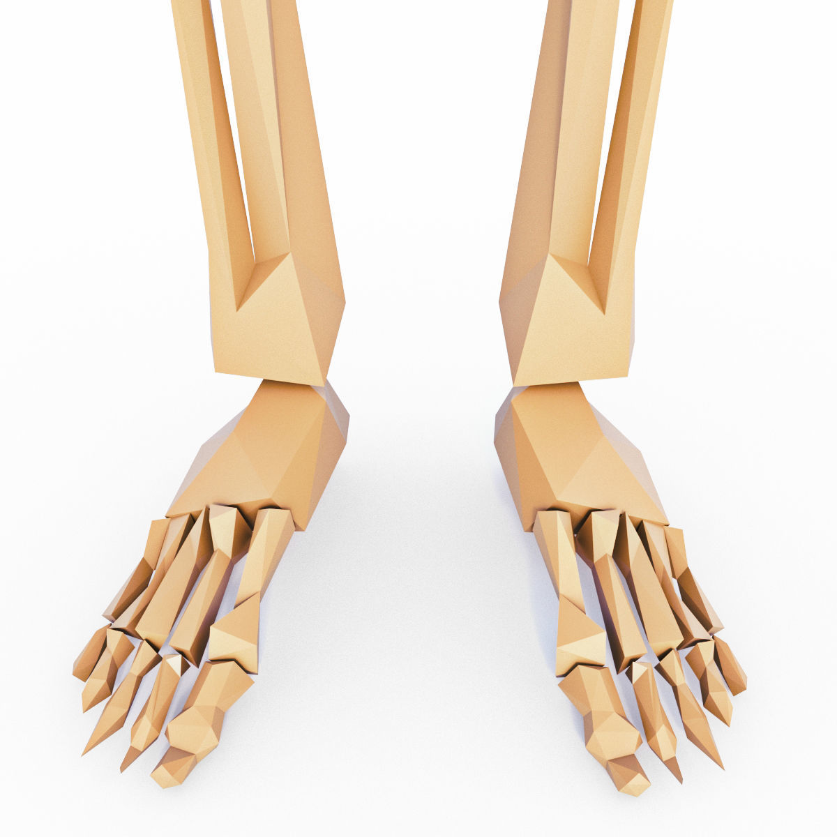 Human Skeleton Low Poly Low-poly 3D model_11