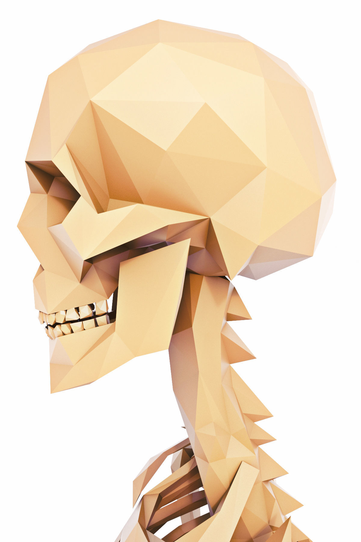 Human Skeleton Low Poly Low-poly 3D model_9