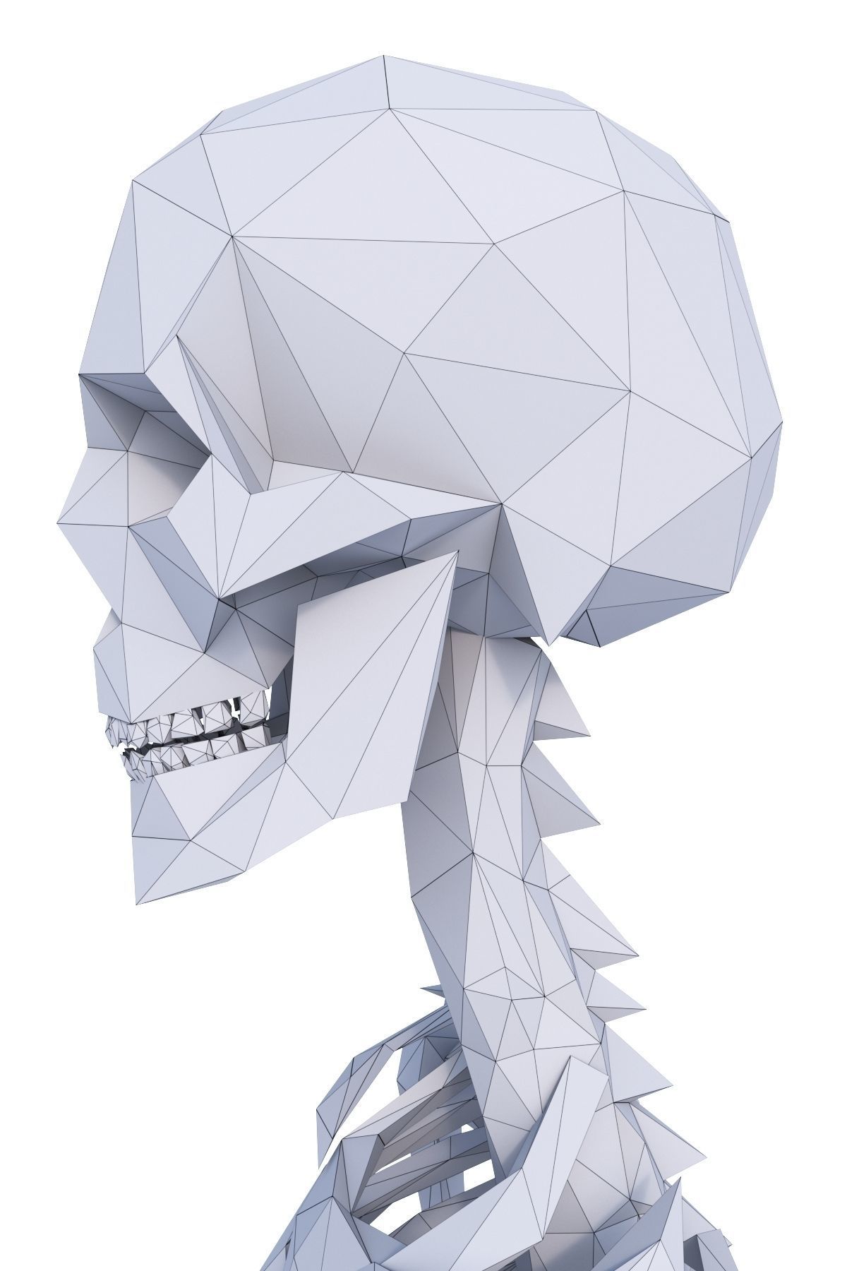 Human Skeleton Low Poly Low-poly 3D model_14